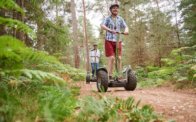 Two people use segways through Thetford Forest